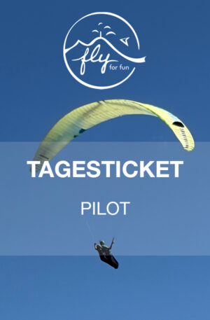 Tagesticket - Pilot