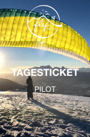 Tagesticket - Pilot